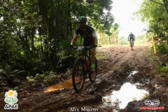 Pedal-Apae-Mattric-641