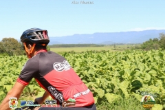 Polvilhana-Bike-Tour-Mattric-Sports-Ciclismo-Cicloturismo-Santa-Rosa-do-SUl-1064