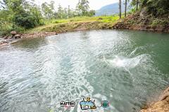DIRC23TRE0666