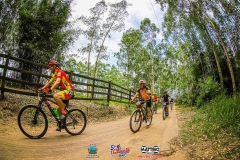 Gaivota-Beach-Bike_Mattric-Sports_Sombrio_Balneario-Gaivota-2020-733