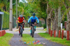 Gaivota-Beach-Bike-1351