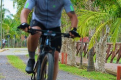 Gaivota-Beach-Bike-1356