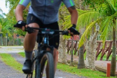 Gaivota-Beach-Bike-1357