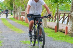 Gaivota-Beach-Bike-1562