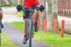 Gaivota-Beach-Bike-1583