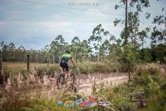 Gaivota-Beach-Bike-2793