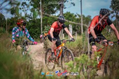 Gaivota-Beach-Bike-2890