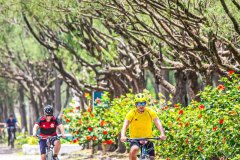 Gaivota-Beach-Bike-540