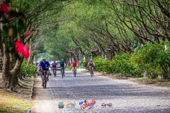 Gaivota-Beach-Bike-708