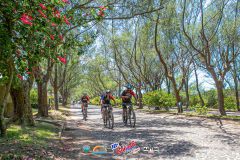 Gaivota-Beach-Bike-797