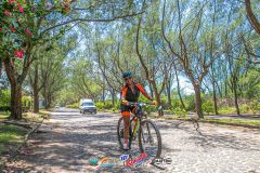 Gaivota-Beach-Bike-804