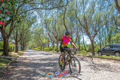 Gaivota-Beach-Bike-805