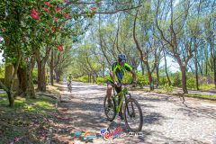 Gaivota-Beach-Bike-808