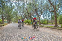 Gaivota-Beach-Bike-840