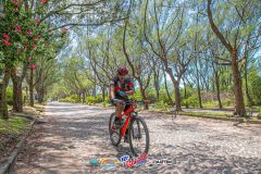 Gaivota-Beach-Bike-852