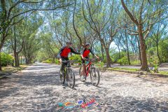 Gaivota-Beach-Bike-865