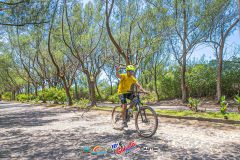 Gaivota-Beach-Bike-869