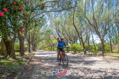 Gaivota-Beach-Bike-913