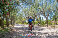 Gaivota-Beach-Bike-915