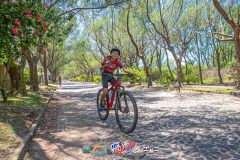 Gaivota-Beach-Bike-926