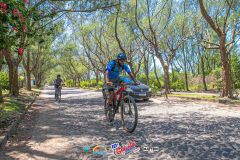 Gaivota-Beach-Bike-939