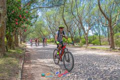 Gaivota-Beach-Bike-955