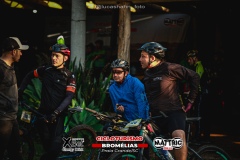 Pedal-das-bromelias-1221