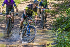 MG_0205