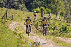 MG_0246