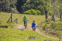 MG_0254