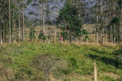 Recanto-Das-Bromélias-Praia-Grande-SC-Mattric-Ciclismo-Ciclista-Evento-1876