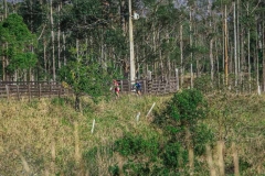 Recanto-Das-Bromélias-Praia-Grande-SC-Mattric-Ciclismo-Ciclista-Evento-1878