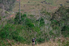 Recanto-Das-Bromélias-Praia-Grande-SC-Mattric-Ciclismo-Ciclista-Evento-2091