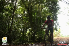 Pedal-Apae-Mattric-649