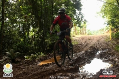 Pedal-Apae-Mattric-650
