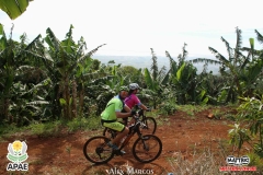 Pedal-Apae-Mattric-832