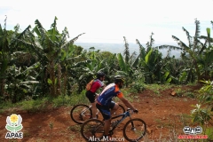 Pedal-Apae-Mattric-835