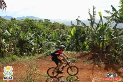 Pedal-Apae-Mattric-841
