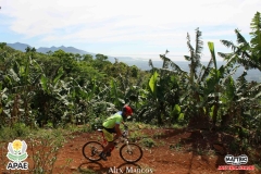 Pedal-Apae-Mattric-843