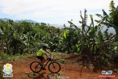 Pedal-Apae-Mattric-848
