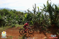 Pedal-Apae-Mattric-857