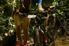 Pedal-Apae-Mattric-914
