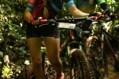Pedal-Apae-Mattric-915
