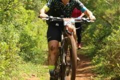 Pedal-Apae-Mattric-924