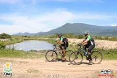 Pedal-Apae-Mattric-971