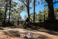 DIRC2150