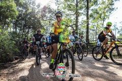 DIRC2419