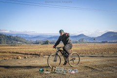 IMG_0784