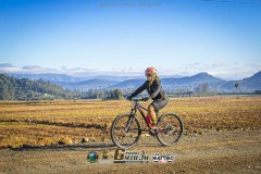 IMG_0920