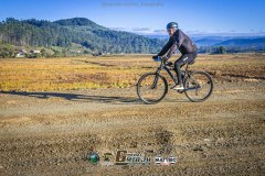 IMG_0950